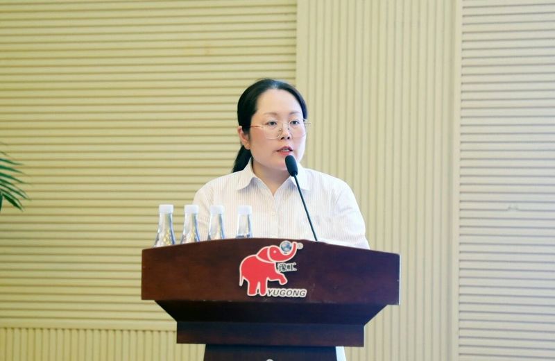 图片11