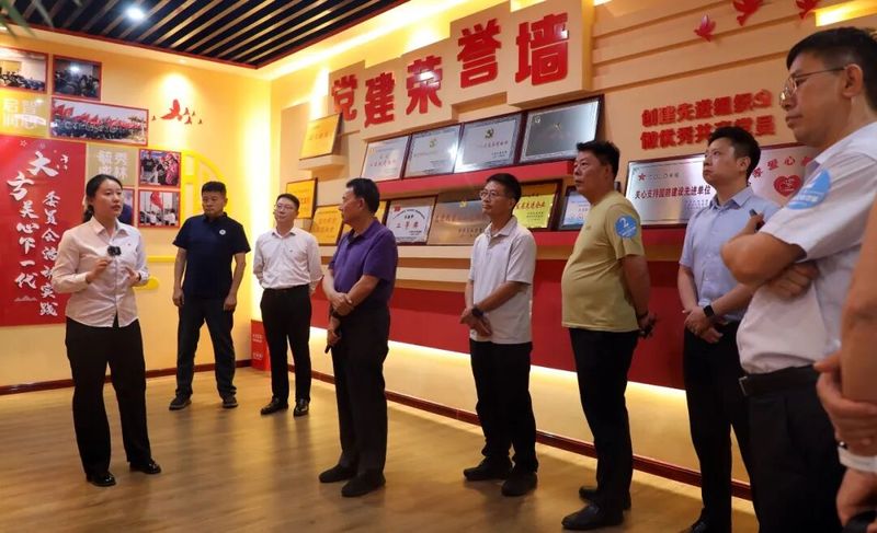 图片12